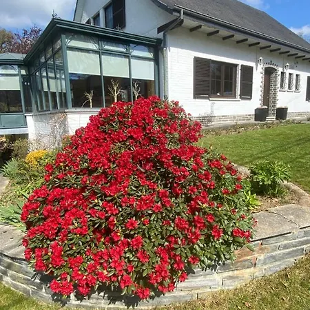Villa La Colline Aux Hirondelles La Roche-en-Ardenne