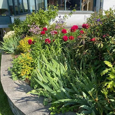 Villa La Colline Aux Hirondelles La-Roche-en-Ardenne