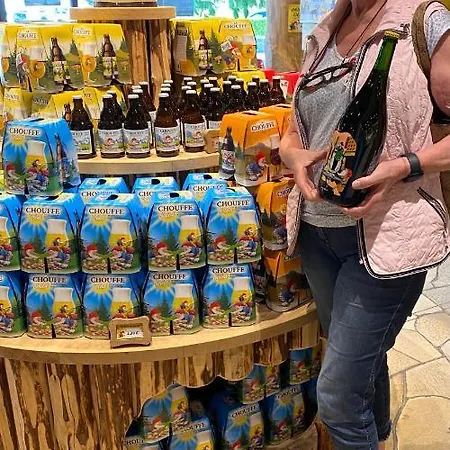 La Colline Aux Hirondelles Villa La-Roche-en-Ardenne